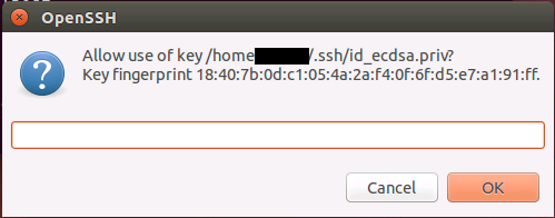 The askpass prompt for confirmation. The textbox does nothing, just click OK or Cancel.